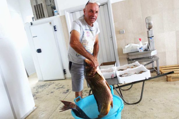 【慢鱼串连】意大利湖鱼拒绝一网打尽，现代科技保存古老渔法