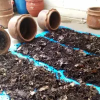 自己在家里用废弃的花盆就能制作有机堆肥 只需要掌握7个技巧