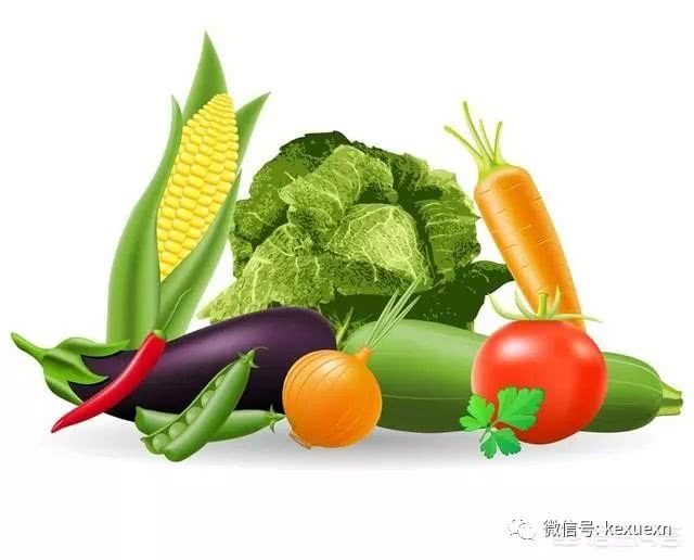 纯绿色无公害的蔬菜水果能够供应人们的日常需求吗？一起看看吧