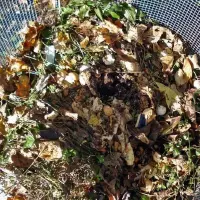 得到完美堆肥的七个秘诀 在院子用生活废料就能制作出肥土