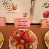 岳华苹果在锦州地区的引种表现及主要栽培技术