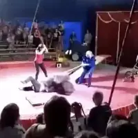 黑熊拒绝表演遭殴打台上突然发飙撕咬驯兽员