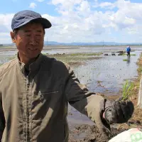 一粒好米从自己亲手种植开始——记佳北农业总农艺师梁贵林