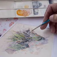 画家爱多肉 用水彩描绘出原产地的十二卷