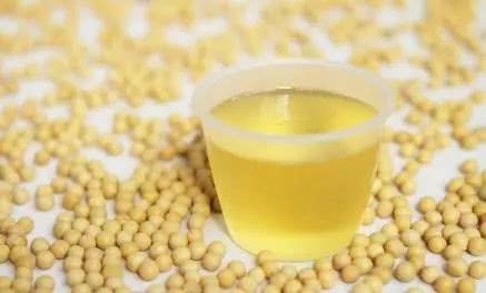 家里吃的大豆油是由多少大豆压榨出来的？这些冷知识你知道吗？
