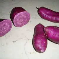 紫色红薯品种：紫薯