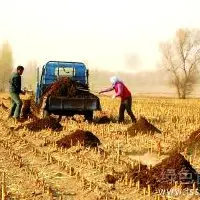 发酵有机肥料冬季如何积造农家肥