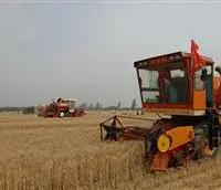 小麦联合收割怎么减少损失？