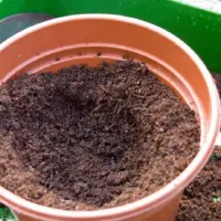 如何防止土壤板结 盆土结块之后要怎么处理
