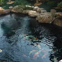 10个庭院鱼池设计案例 网友直呼：个个美轮美奂