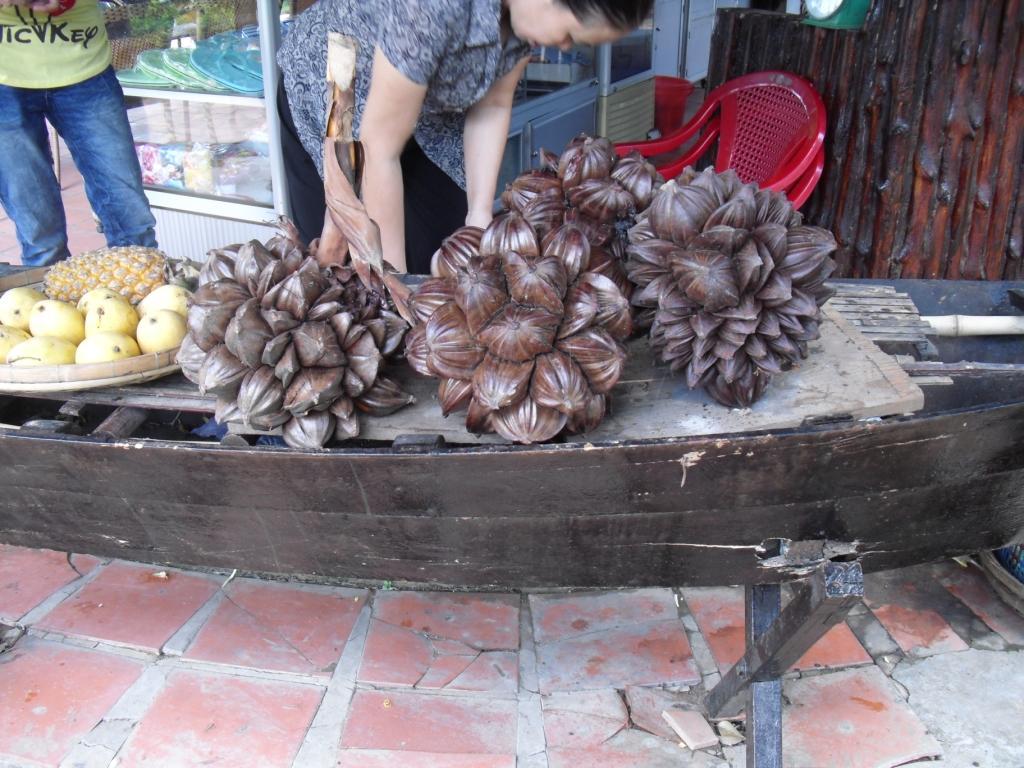这种奇怪的果实 被国人大量砍伐导致濒危 却在东南亚泛滥没人吃