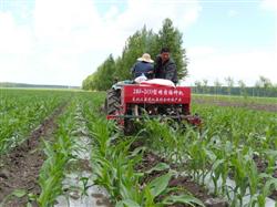 春玉米保护性耕作技术