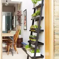 DIY三个创意的窗台花架 室内空中菜园