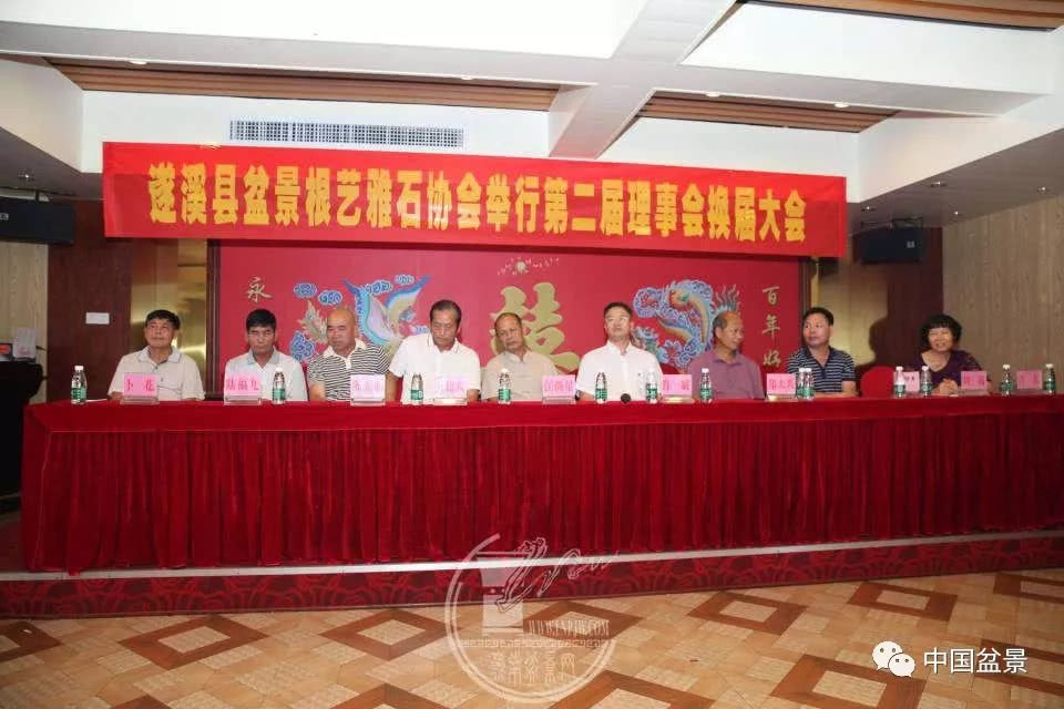 遂溪县盆景根艺雅石协会举行第二届理事会换届选举大会