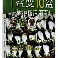 1盆变10盆：扦插种植活用百科