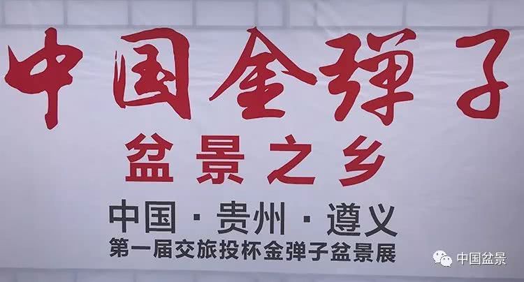 中国·贵州·遵义第一届交旅投杯金弹子盆景展隆重开幕