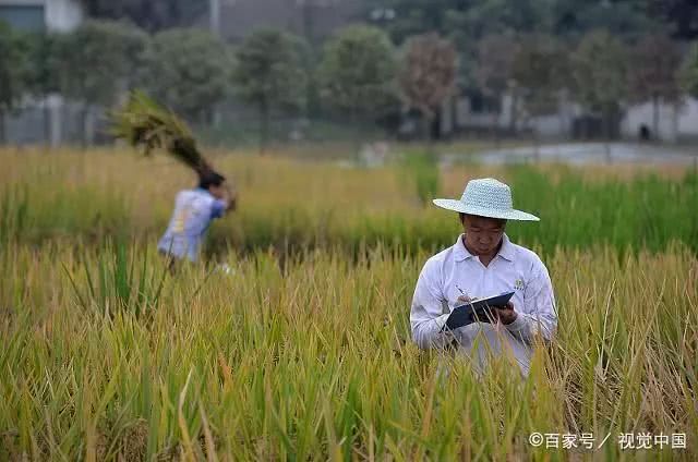 有人说袁隆平杂交水稻申请专利的话将是世界首富 真的是这样吗