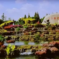 上海植物园?盆景园