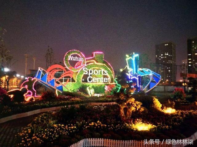 武汉开发区（汉南区）金秋菊展立体花雕扮靓城区 市民可免费观赏
