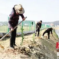 湖南长沙县：农田玩出新花样“稻虾”共生致富