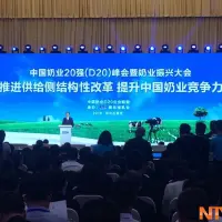 中国奶业20强（D20）峰会暨奶业振兴大会开幕