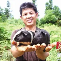 长沙县：生猪养殖户退养转产养小黑豚致富