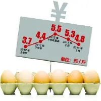 养殖户称鸡蛋价已跌得亏本下半年蛋价或反弹
