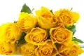 黄玫瑰的花语是什么 黄玫瑰的花语有哪些