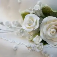 【白玫瑰的含义】白玫瑰代表什么意思