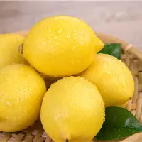2019年柠檬的种植前景及市场价格分析