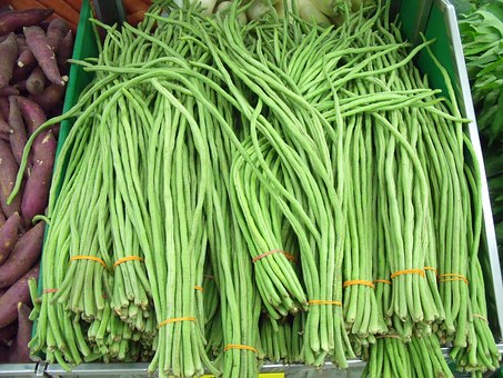 豆科植物豇豆种子多少钱一斤？种一亩大约赚多少钱？种植前景如何？