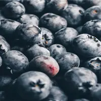 “健康水果”蓝莓一天吃多少比较好？附种植条件及种植方法！