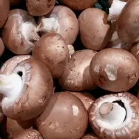 香菇是怎样长出来的？和花菇如何区别？种植的成本和利润如何？