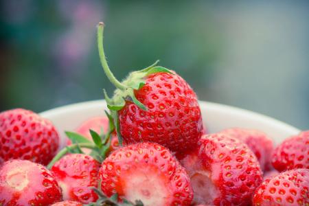 种植草莓赚钱吗成本和利润多少种植一亩草莓投资多少可收入多少