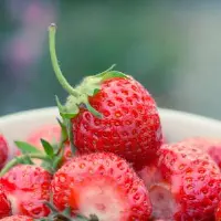 种植草莓赚钱吗成本和利润多少种植一亩草莓投资多少可收入多少