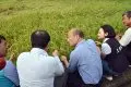 水稻农损高雄市长韩国瑜：全力协助降低农友损失