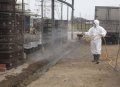 国内禽流感疫情频传，嘉义县呼吁强化禽场安全