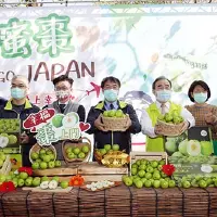 台南蜜枣持续外销日本突破去年总销量