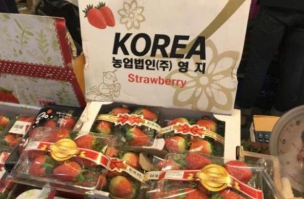 韩国振兴公社在澳大利亚投资草莓智能农场