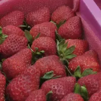 日本进口草莓农药残留 仅2成合格