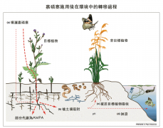 中国农药用量大吗？台湾的农药用量创17年新高数据是多少？