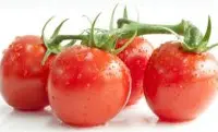 粉番茄吉诺比利，寿光最新硬粉番茄品种吉诺比利番茄的产量