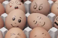 鸡蛋是最好的食物蛋白质来源吗？白鸡蛋和黄鸡蛋哪个营养好