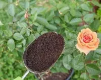 煮过的咖啡渣的用途作堆肥养花，咖啡渣的用途广用途介绍
