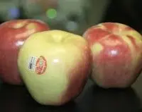 优质苹果品种圣芳苹果介绍，圣芳苹果口感味道怎么样原产于哪里