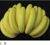 香蕉的品种有哪些常见的？北蕉/仙人蕉与宝岛蕉果状有什么区别