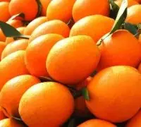 瓦伦西亚橙和脐橙的区别在哪里？绿色瓦伦西亚橙和脐橙是没熟吗