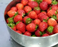 市面上的草莓最受欢迎的是什么品种？草莓的特性一年开几次花