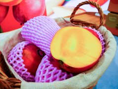 台湾屏东芒果产季到，芒果产量怎么样外销价格多少钱一斤