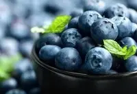 蓝莓种植技术：蓝莓缺铁怎么做？改善蓝莓缺铁的永续性方法